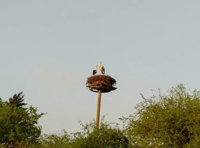 Apartment Nr- Mit Ladestation Für E-autos *