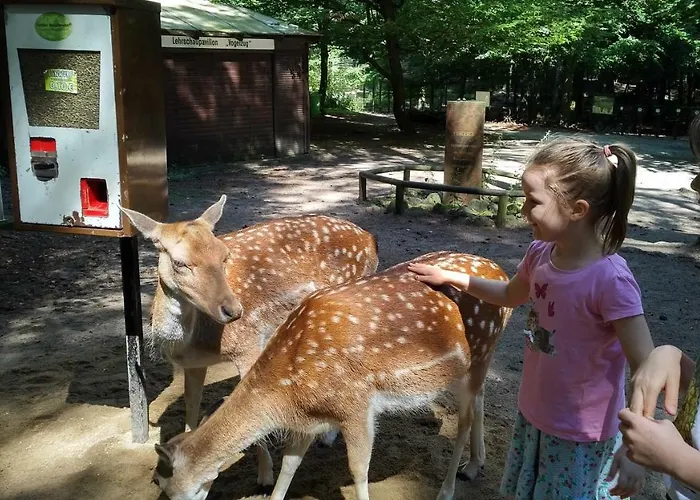 Apartment Nr- Mit Ladestation Für E-autos