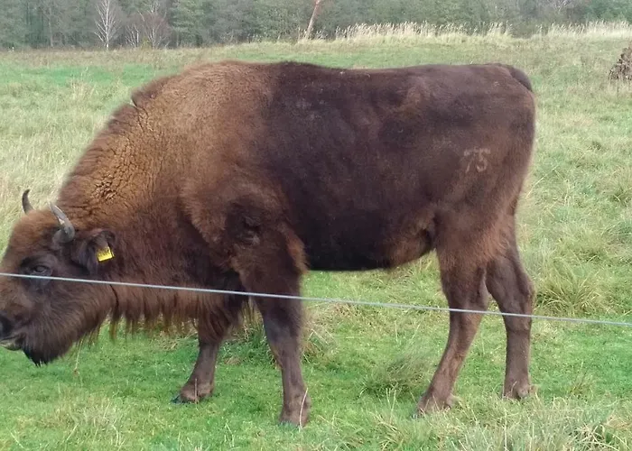 Nr- Mit Ladestation Für E-autos Apartment Melchow