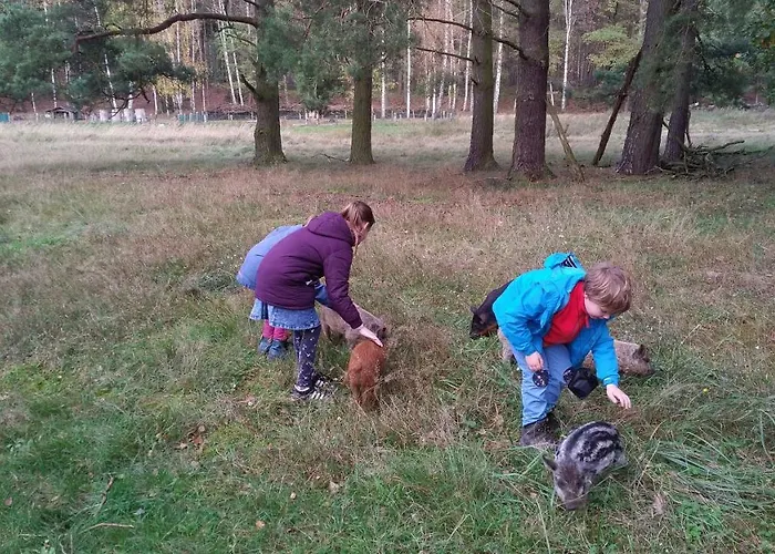 Nr- Mit Ladestation Für E-autos Apartment Melchow